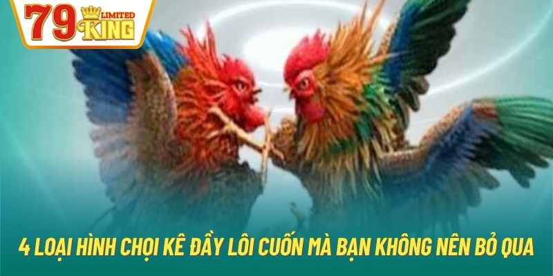 4 loại hình chọi kê đầy lôi cuốn mà bạn không nên bỏ qua