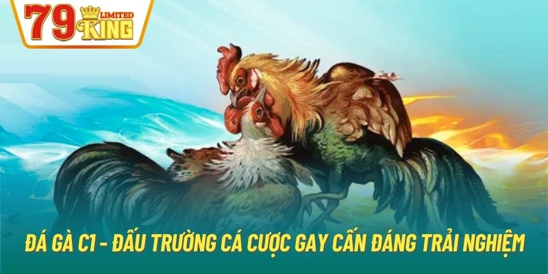 Đá Gà C1 - Đấu Trường Cá Cược Gay Cấn Đáng Trải Nghiệm