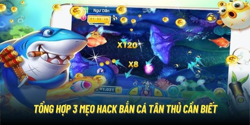 Tổng hợp 3 mẹo hack bắn cá tân thủ cần biết