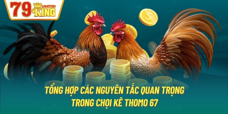 Tổng hợp các nguyên tắc quan trọng trong chọi kê Thomo 67